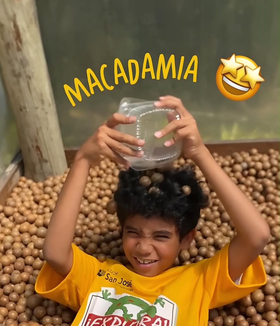 Momento de aventura y convivencia en Campamento Explora